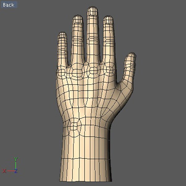 Hand model mannequin 3D model_6