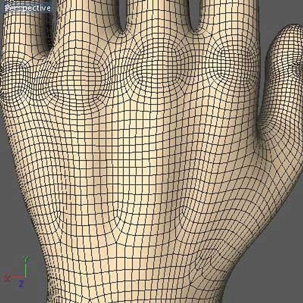 Hand model mannequin 3D model_8