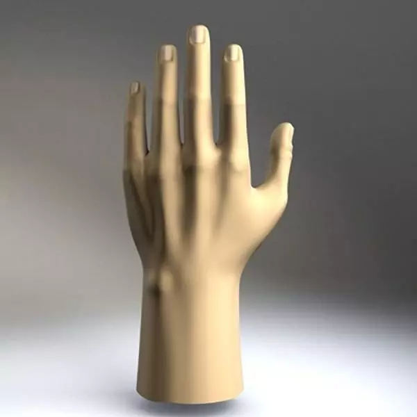 Hand model mannequin 3D model_0