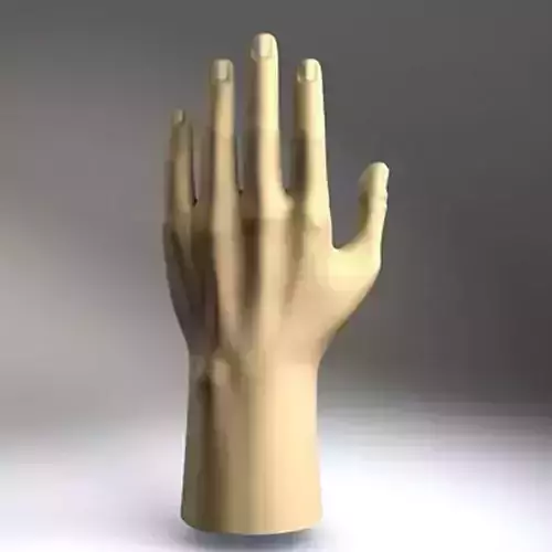 Hand model mannequin 3D model