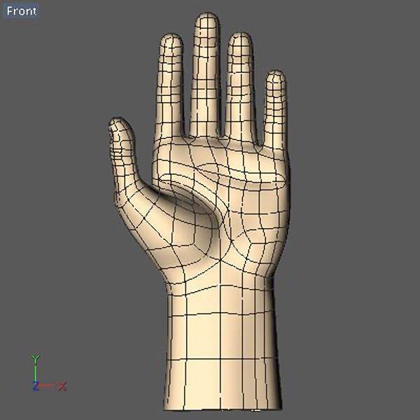 Hand model mannequin 3D model_7