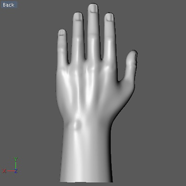 Hand model mannequin 3D model_12