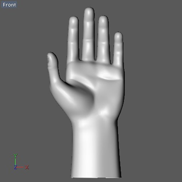Hand model mannequin 3D model_11