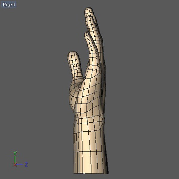 Hand model mannequin 3D model_5