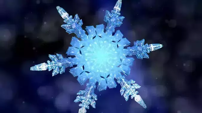 Snowflake Growth Animated 3d Model And Obj Sequence 3D model