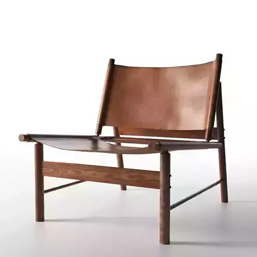 Lounge Chair by Jorge Zalszupin