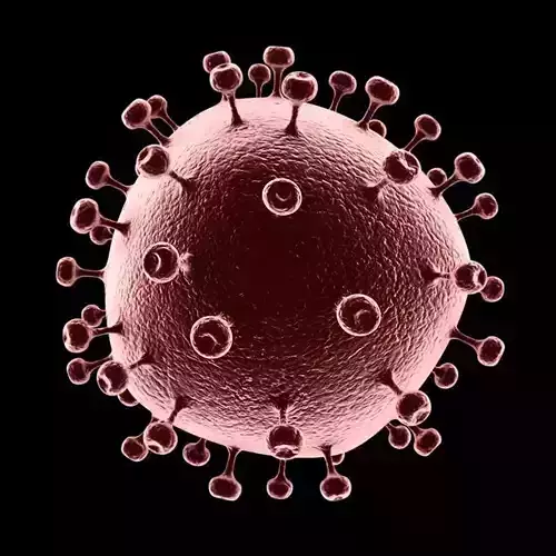 AIDS Virus 3D model
