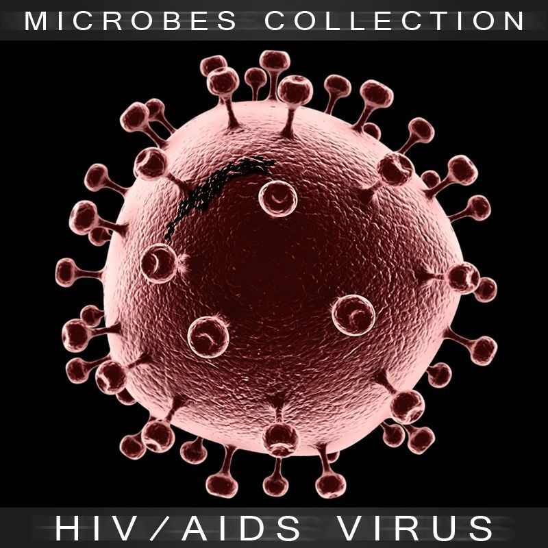 AIDS Virus 3D model_5