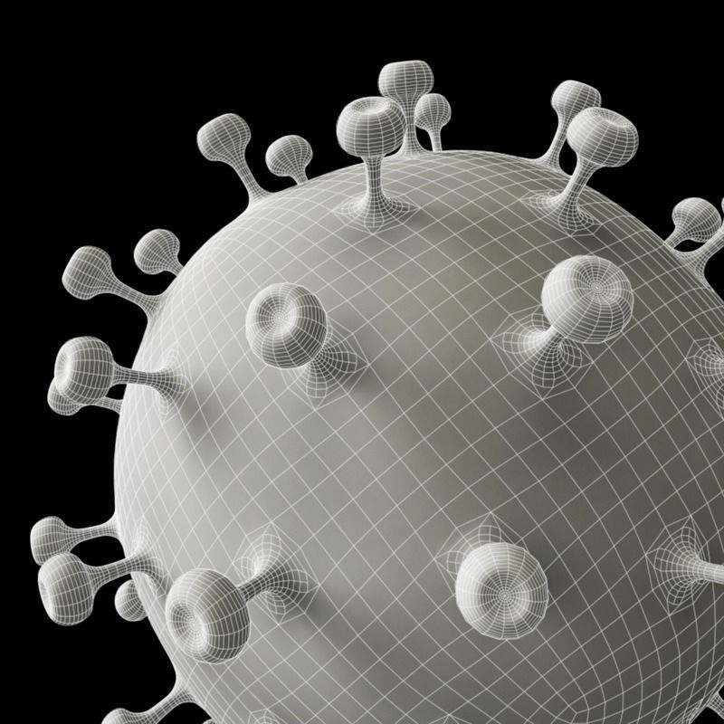 AIDS Virus 3D model_9