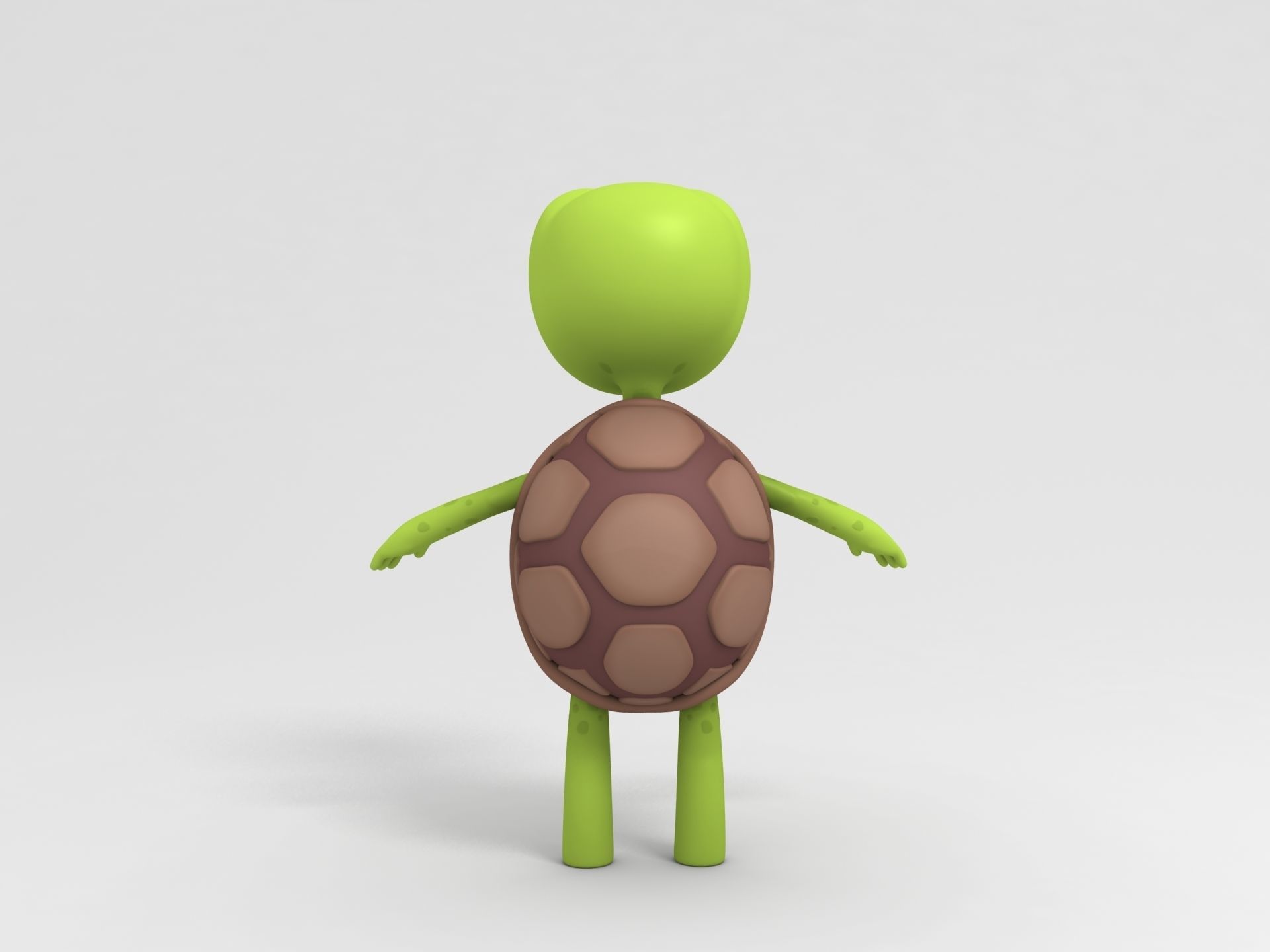 Turtle cartoon 3D model_4