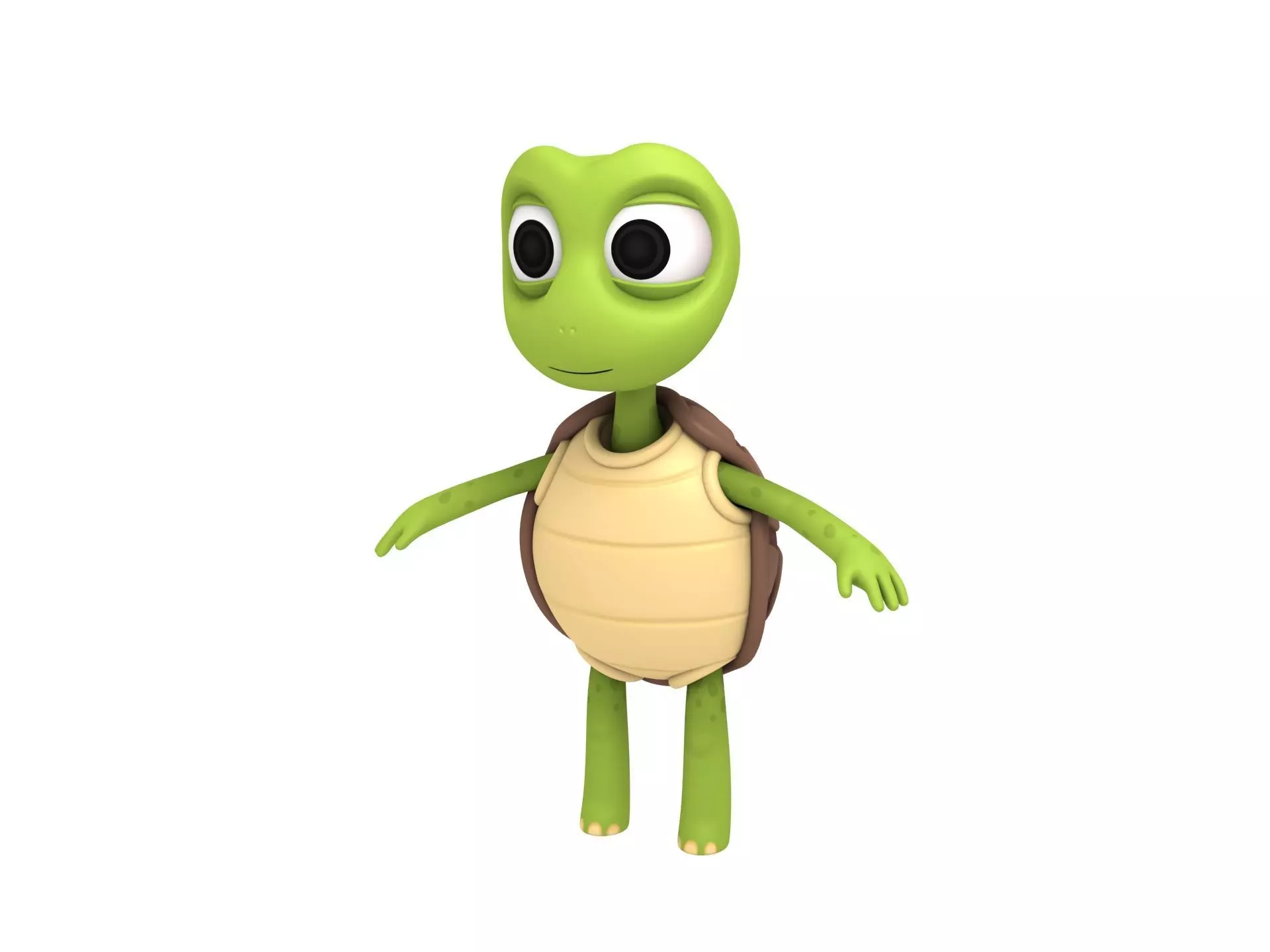 Turtle cartoon 3D model_0