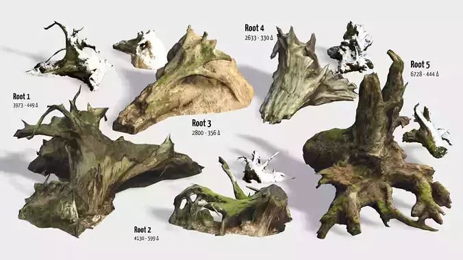 Forest Roots Low-poly 3D model