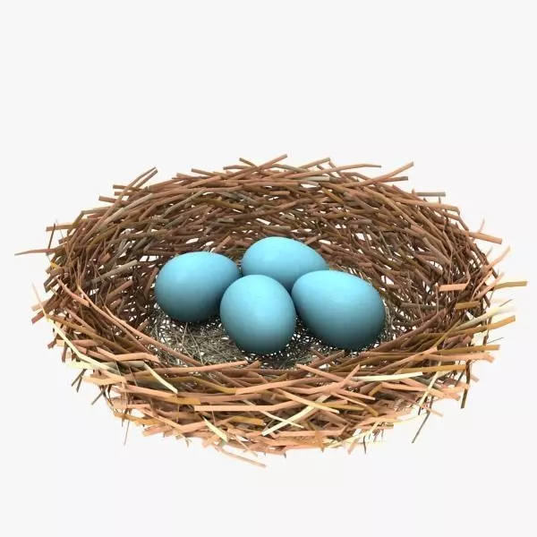 BirdsNest bird nest 3D model