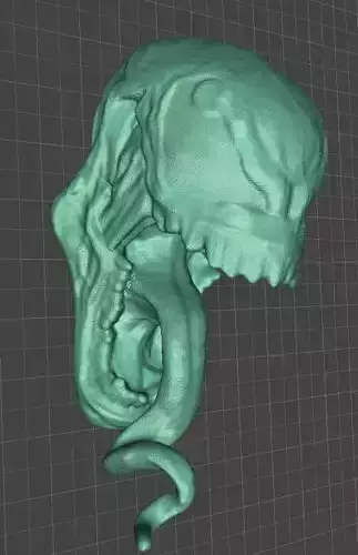 Venom Head