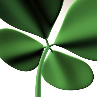 Shamrock Clover 3D model_9