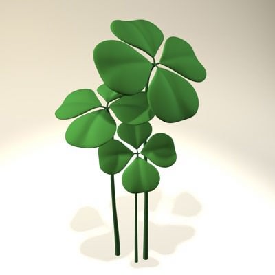 Shamrock Clover 3D model_3