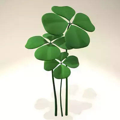 Shamrock Clover