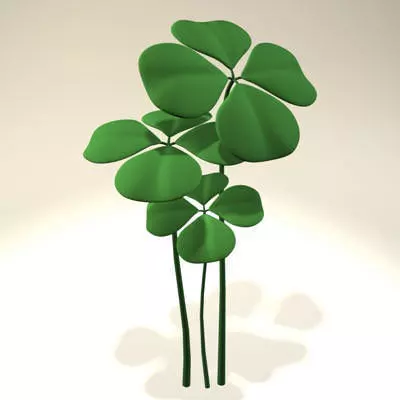 Shamrock Clover 3D model_0