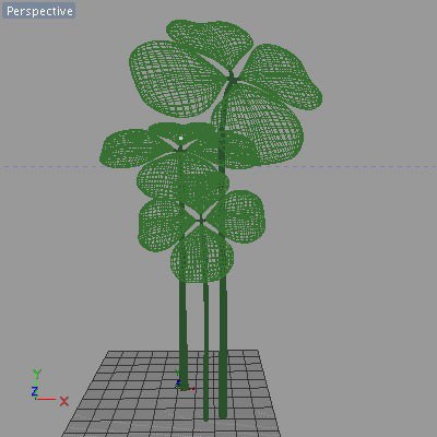 Shamrock Clover 3D model_8