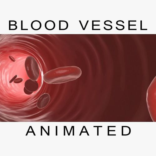 Blood Vessel 3D model