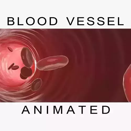 Blood Vessel 3D model