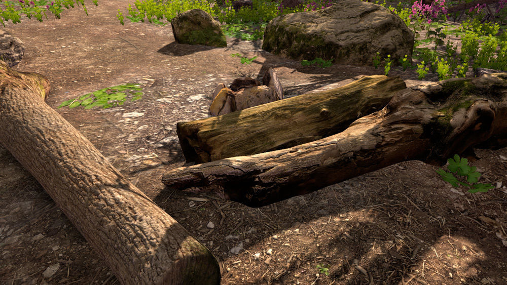 Fallen Trunks from Forest Low-poly 3D model_8