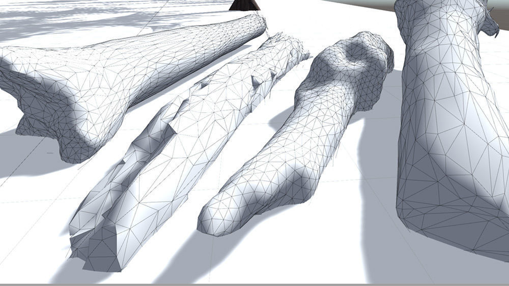 Fallen Trunks from Forest Low-poly 3D model_5