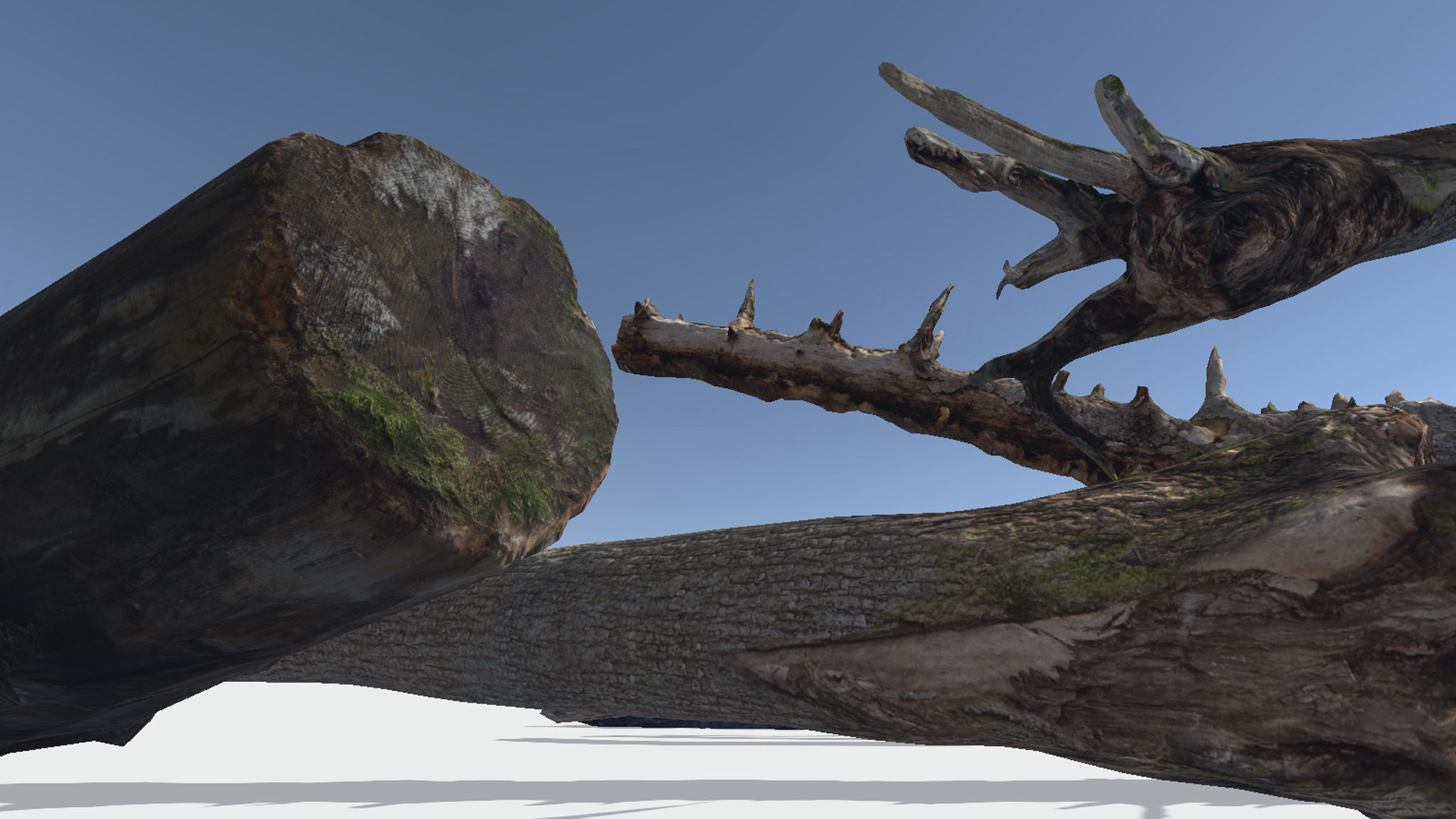 Fallen Trunks from Forest Low-poly 3D model_3