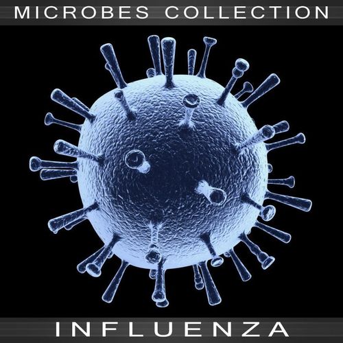 Flu Virus 3D model