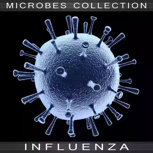 Flu Virus 3D model