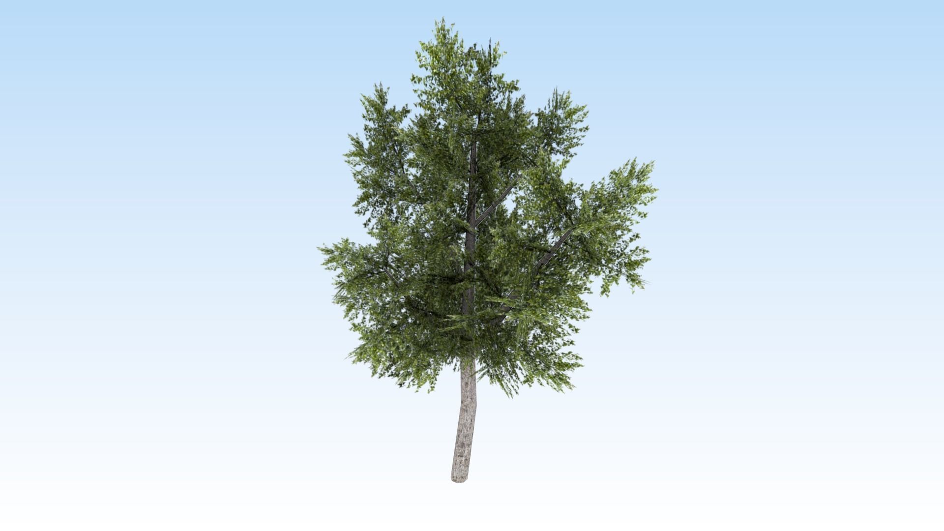 Game-ready trees pack Low-poly 3D model_8