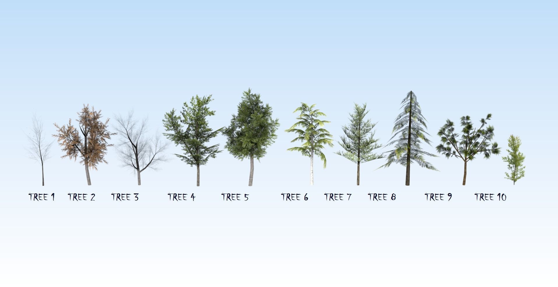 Game-ready trees pack Low-poly 3D model_2