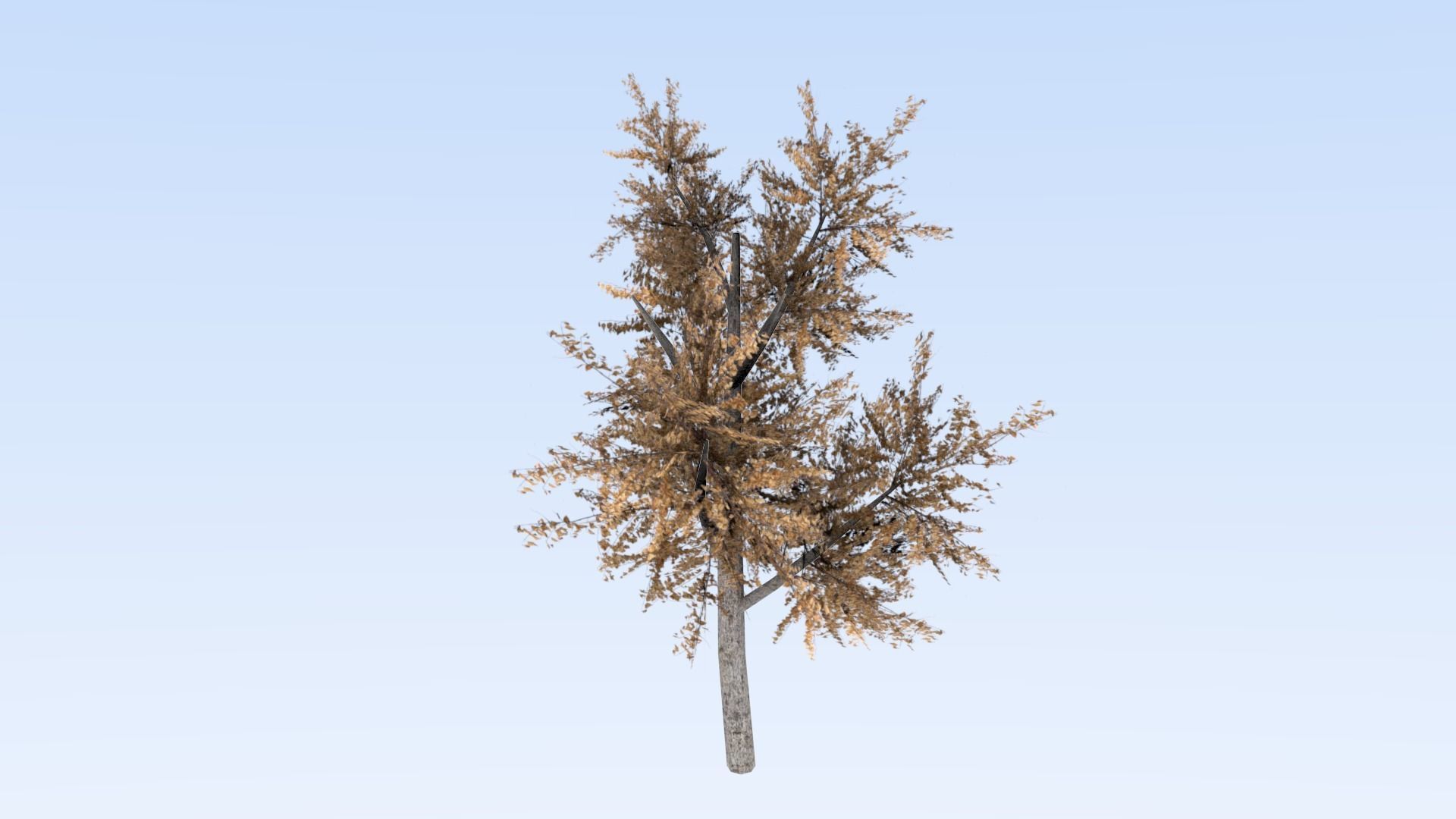 Game-ready trees pack Low-poly 3D model_5
