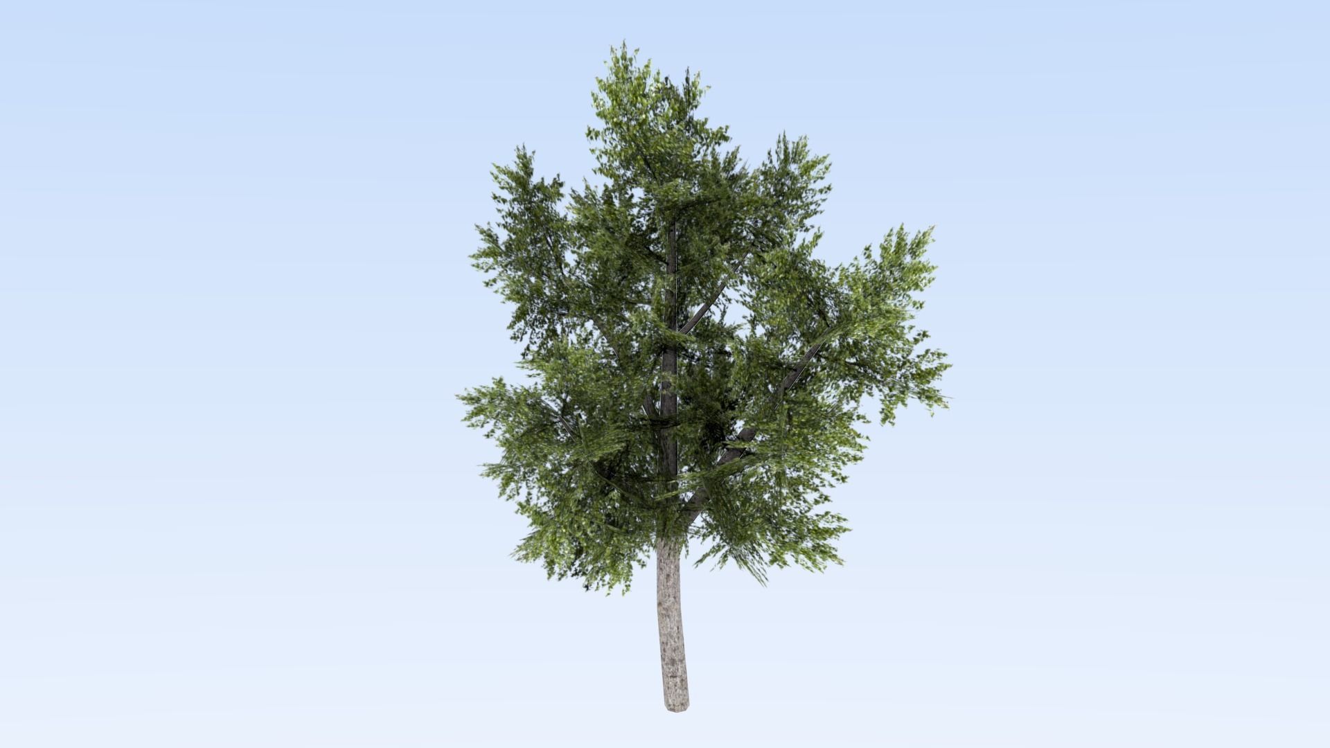 Game-ready trees pack Low-poly 3D model_9