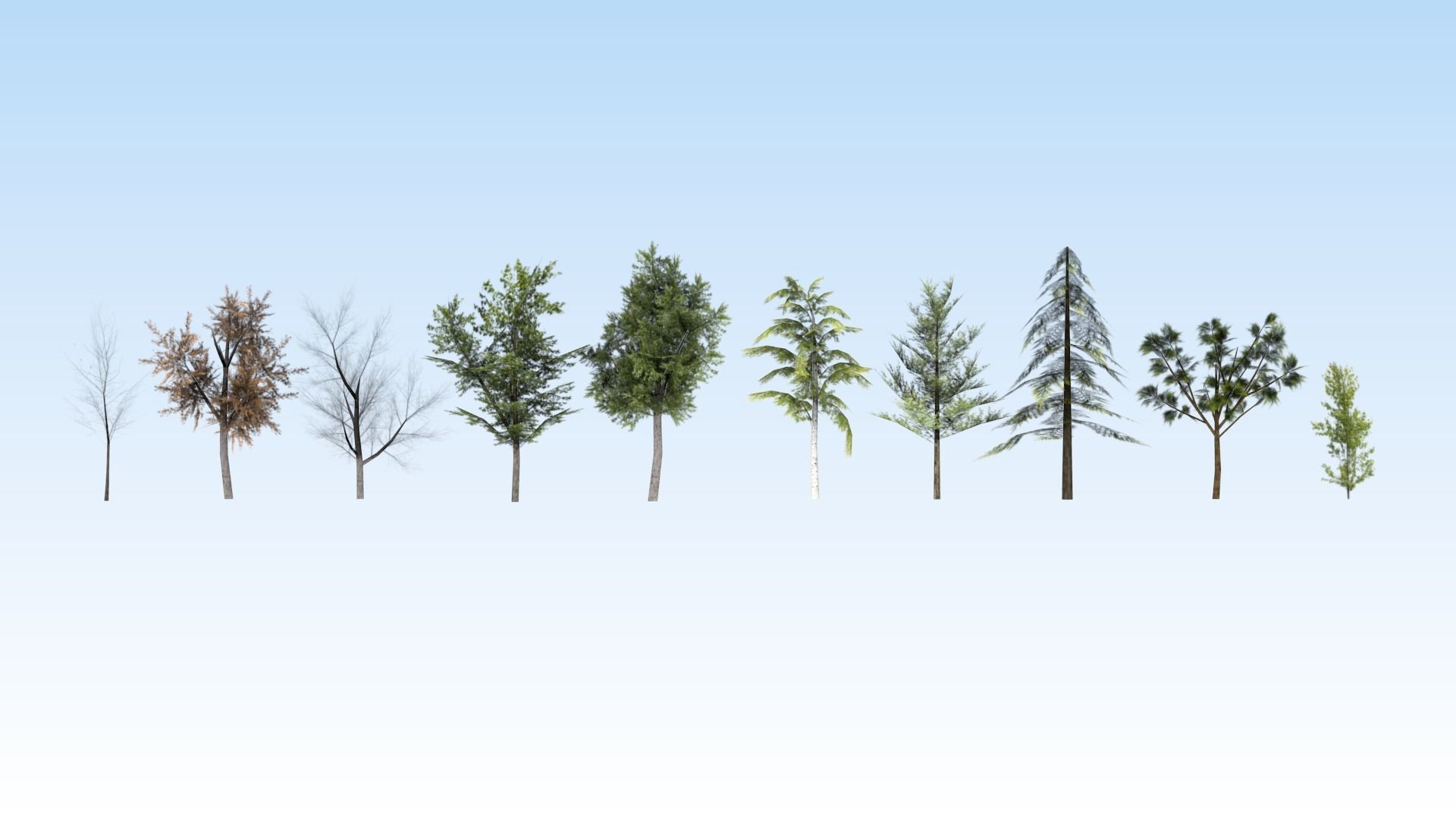 Game-ready trees pack Low-poly 3D model_1