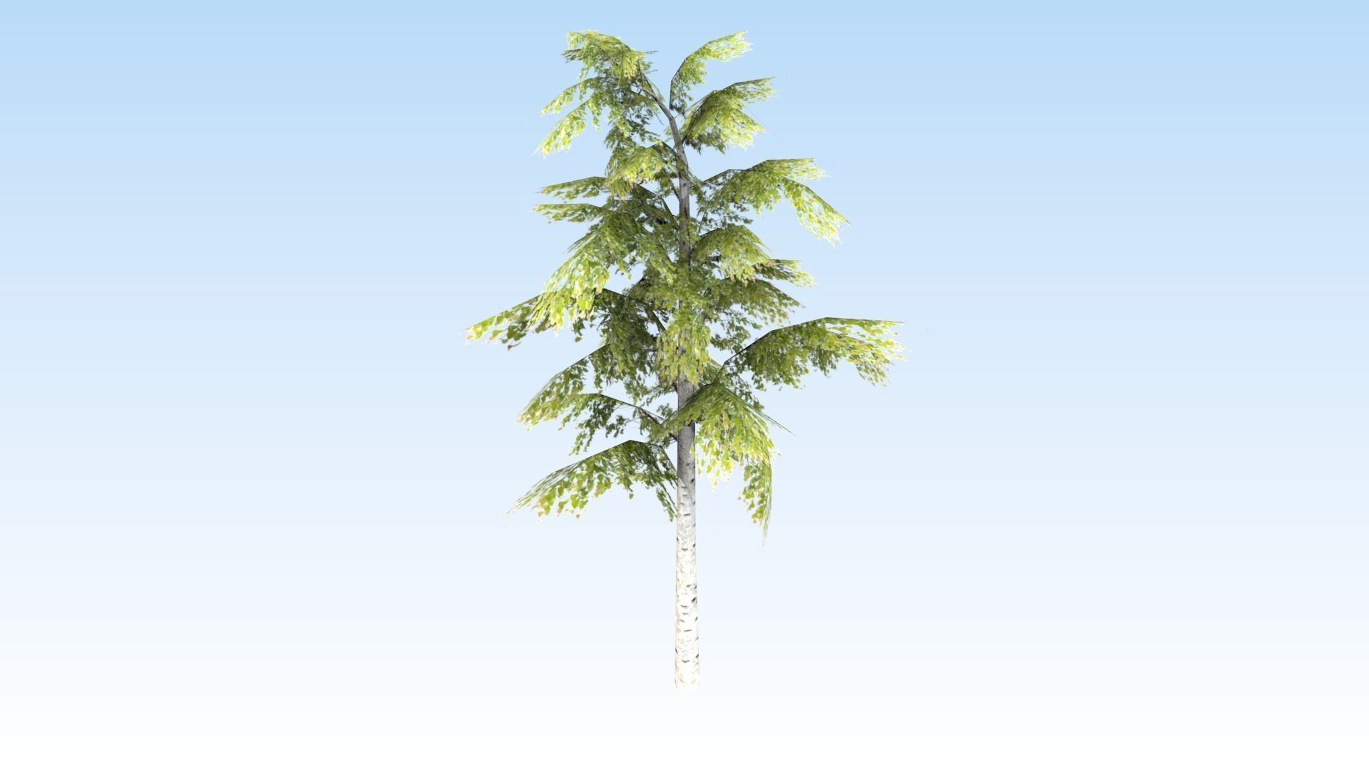 Game-ready trees pack Low-poly 3D model_10