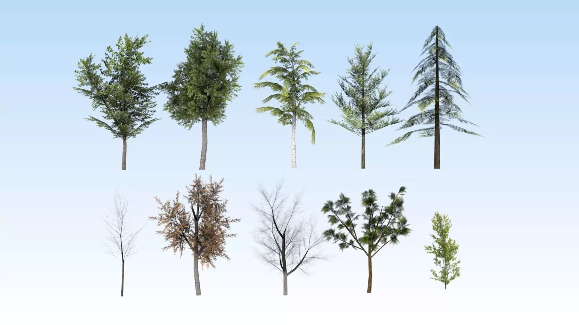 Game-ready trees pack Low-poly 3D model_0