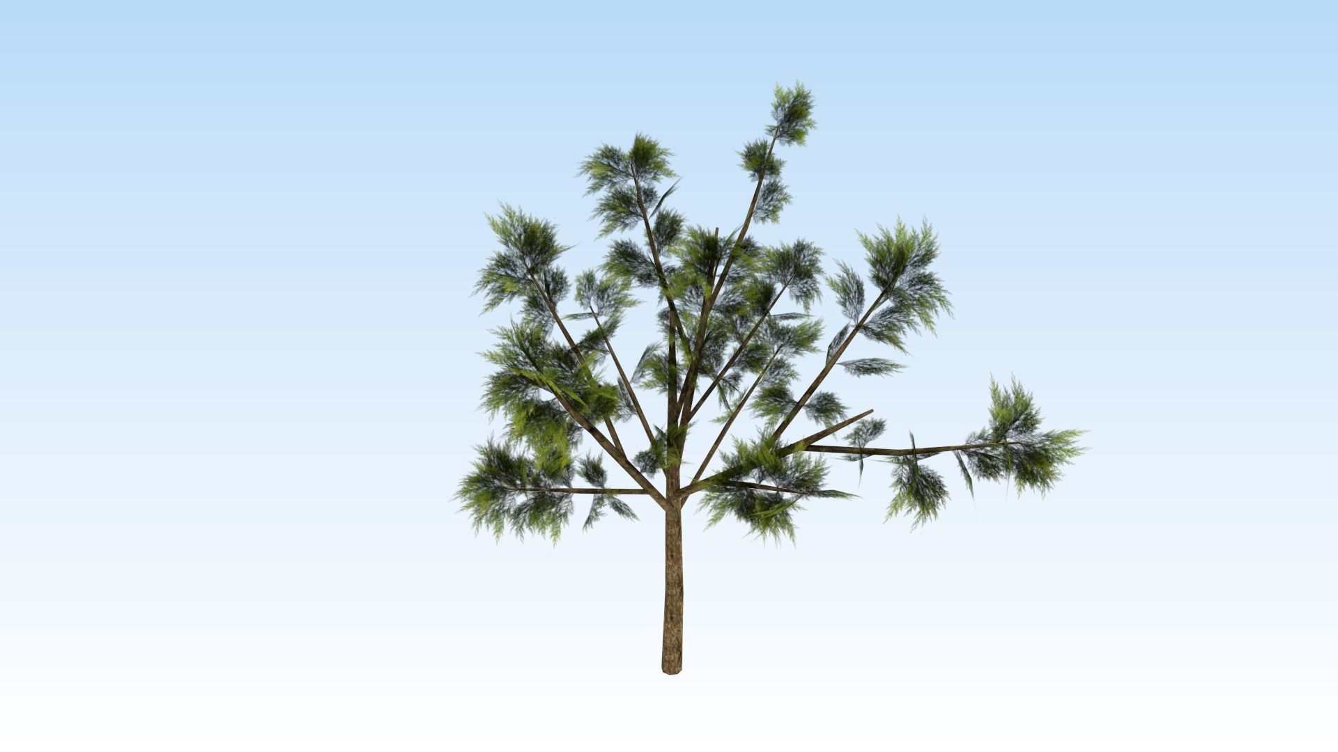 Game-ready trees pack Low-poly 3D model_14