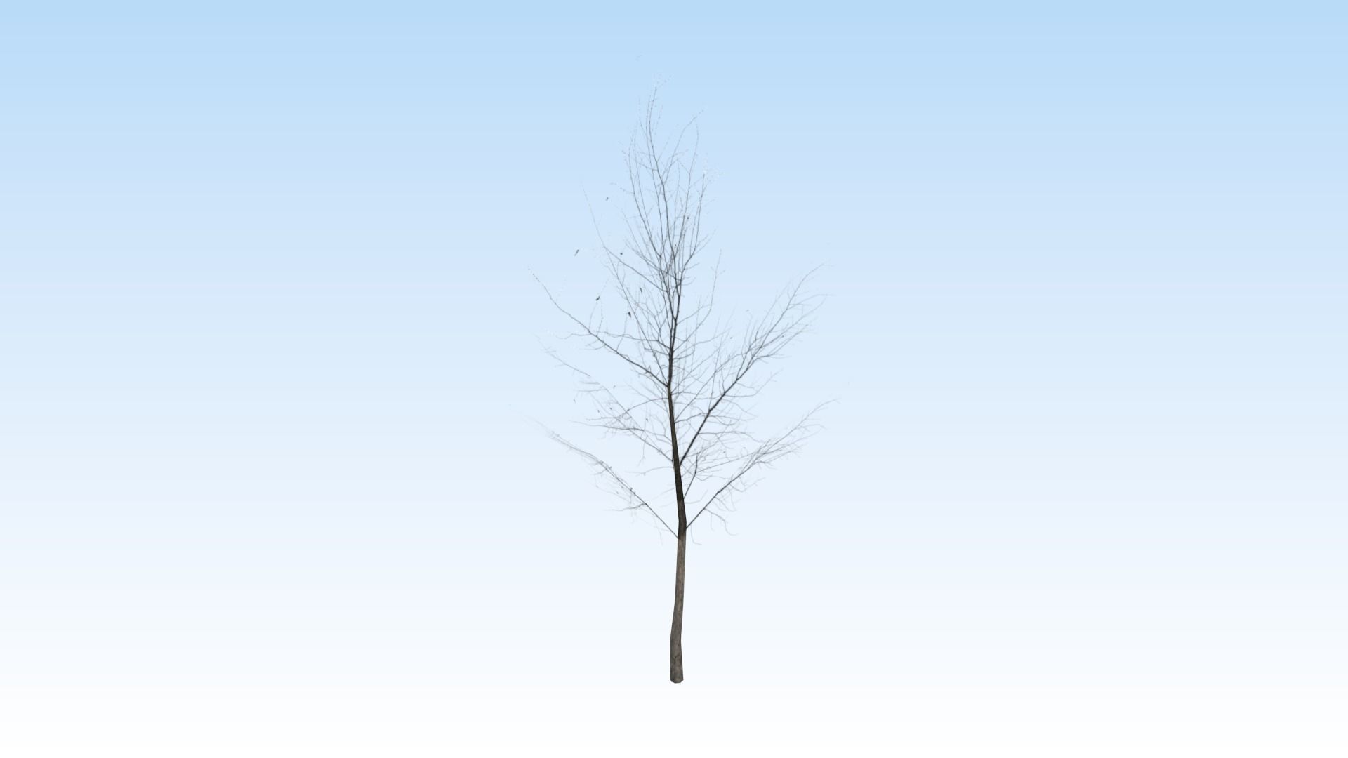 Game-ready trees pack Low-poly 3D model_3
