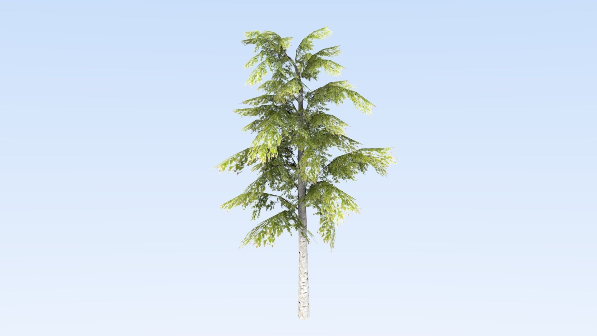 Game-ready trees pack Low-poly 3D model_11