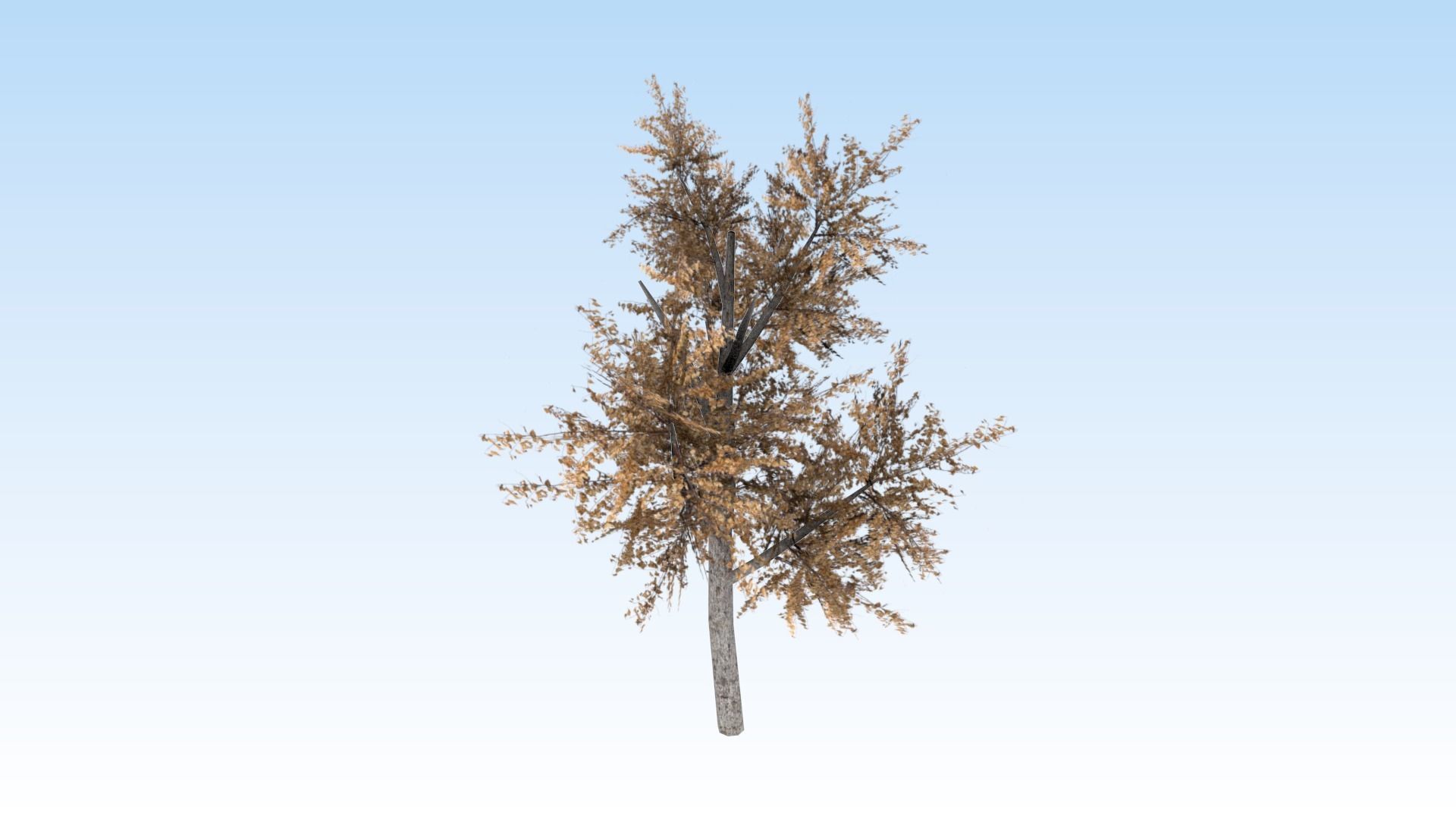 Game-ready trees pack Low-poly 3D model_4