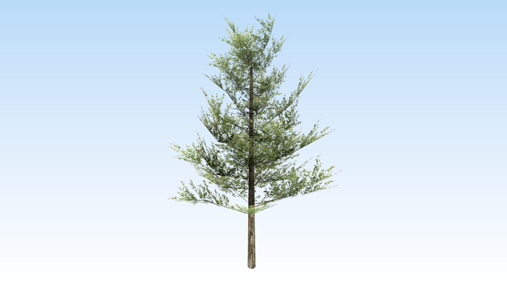 Game-ready trees pack Low-poly 3D model_12