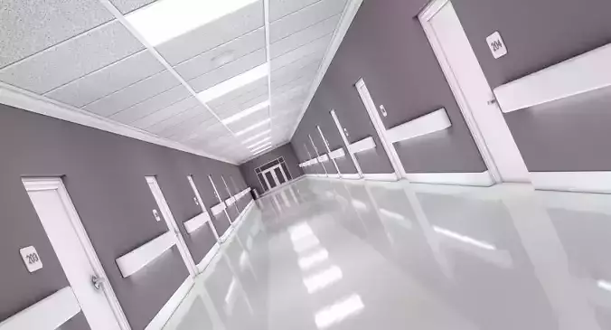 Hallway Modern
