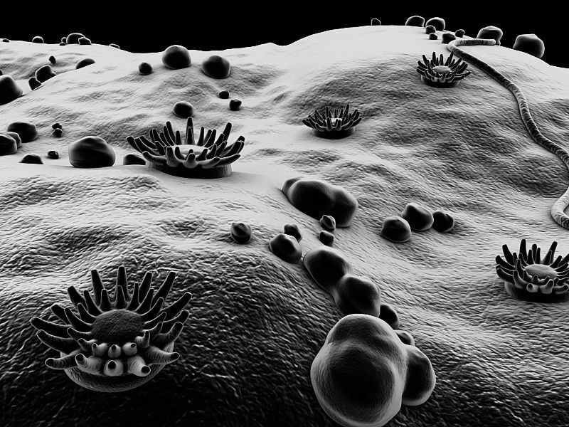 Microscopic Environment 3D model_3