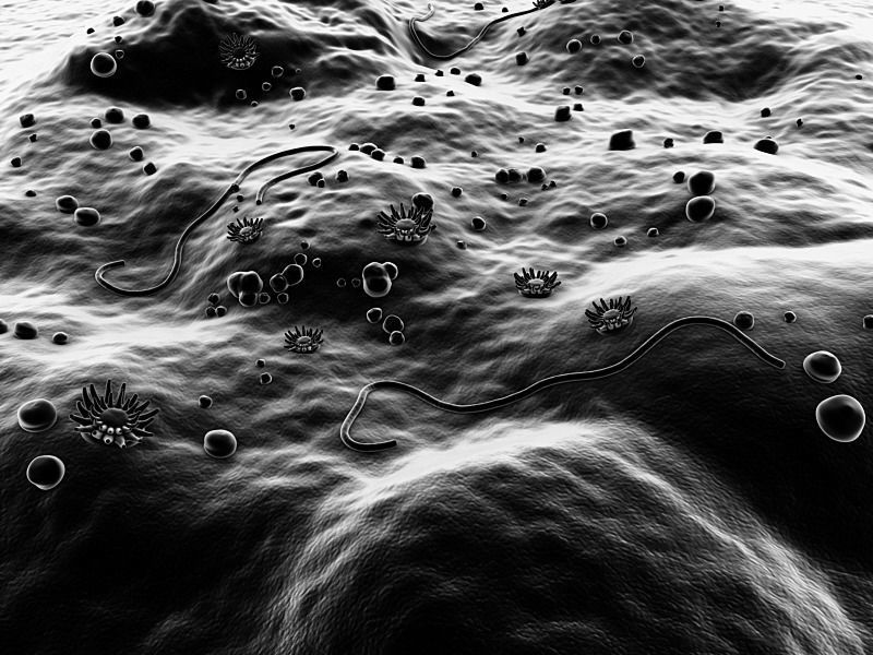 Microscopic Environment 3D model_9