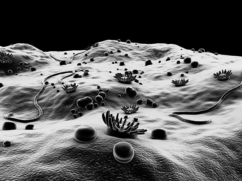 Microscopic Environment 3D model_2