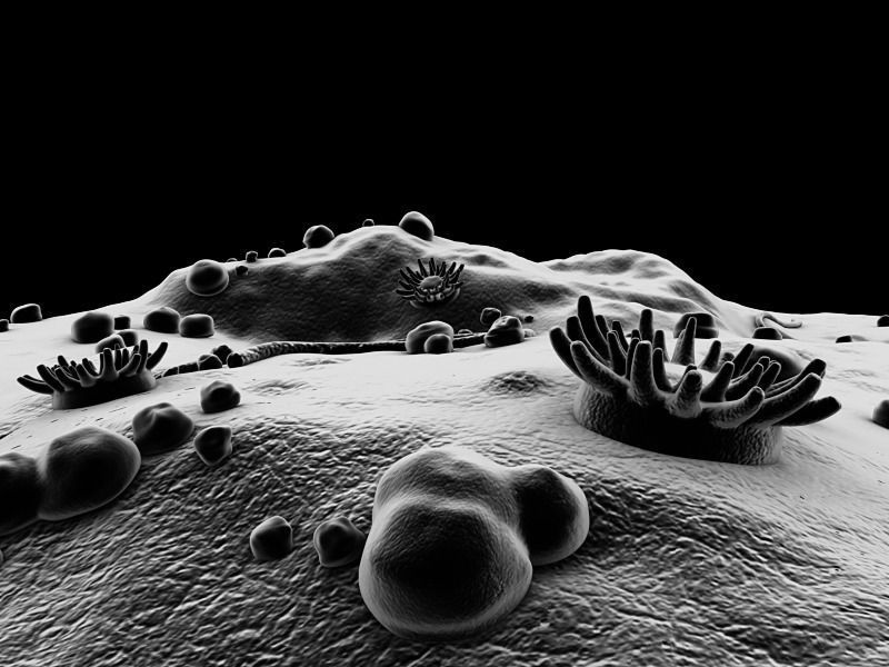 Microscopic Environment 3D model_7