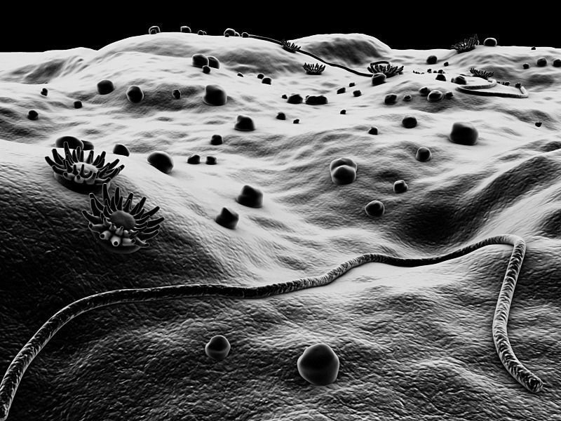 Microscopic Environment 3D model_10