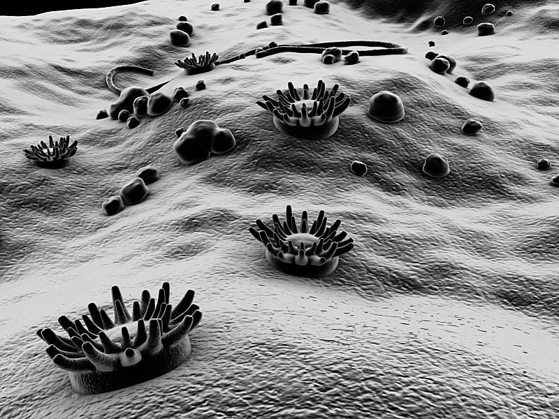 Microscopic Environment 3D model_11