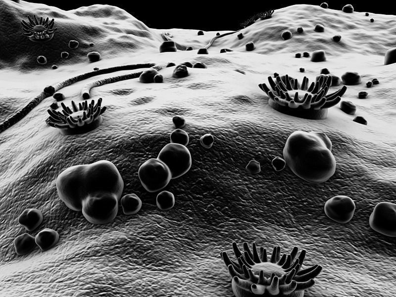 Microscopic Environment 3D model_5